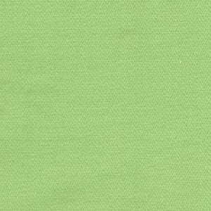 Tecido Tricoline - liso verde ervilha - Fernando Maluhy  (50x1,50 cm)         